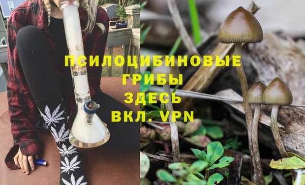 ГАЛЛЮЦИНОГЕННЫЕ ГРИБЫ Покровск